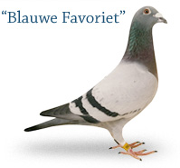 Blauwe Favoriet
