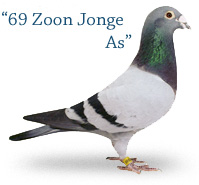 69 Zoon Jonge As