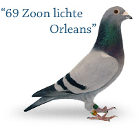 69 Zoon Lichte Orleans