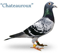 Chateauroux
