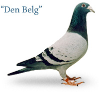 De Belg