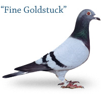 Fine Goldstuck