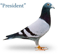 President