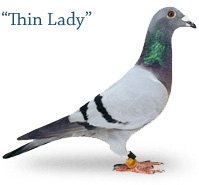 Thin Lady